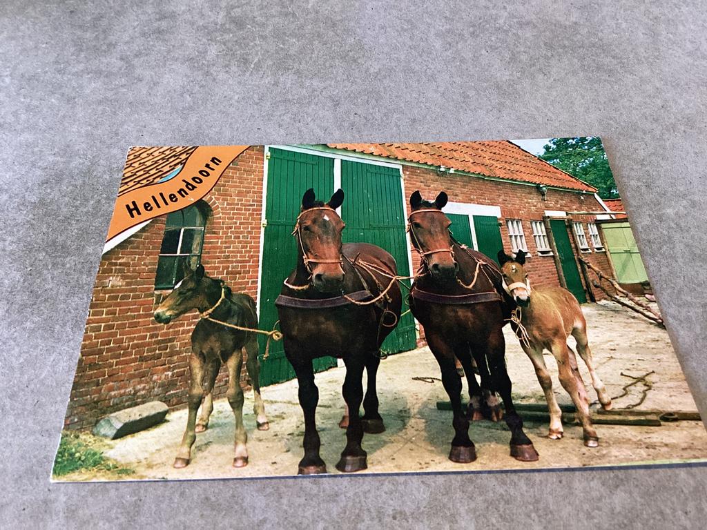 Hellendoorn., Ophalen of Verzenden, Overijssel