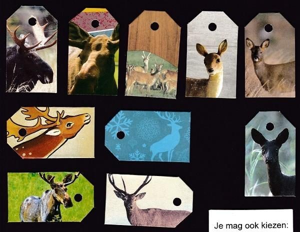 0076) herten reeen rendieren elanden labeltjes, Ophalen of Verzenden, Zo goed als nieuw, Overige typen