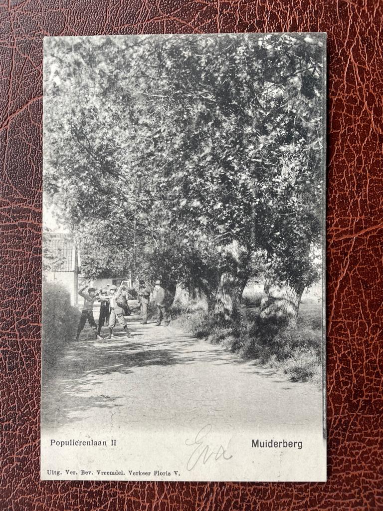 ansichtkaart van Muiderberg, Populierenlaan., Verzenden, Voor 1920