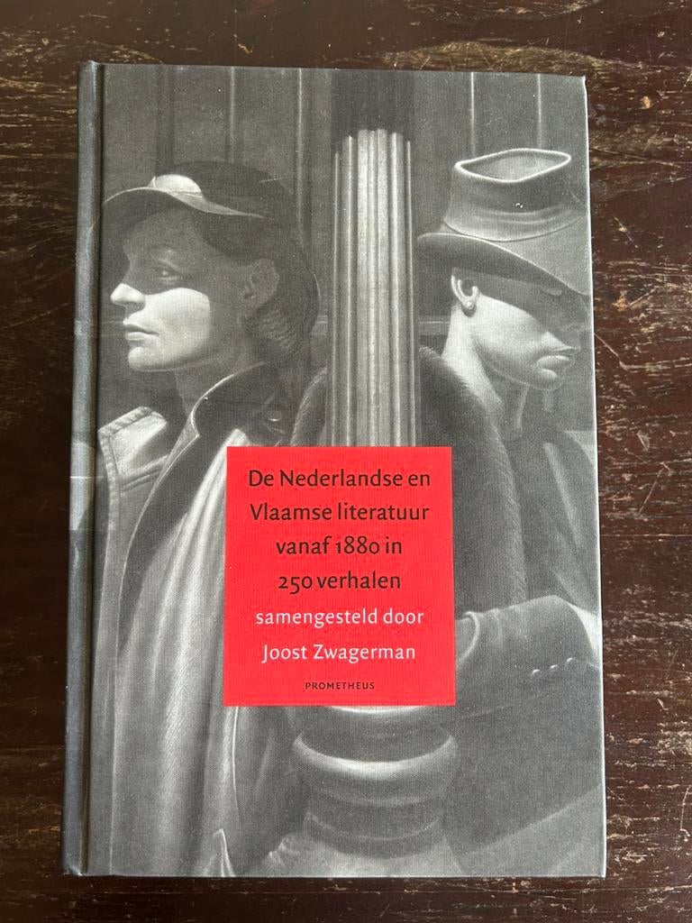 De Nederlandse en Vlaamse literatuur vanaf 1880 in 250 verha, Boeken, Ophalen of Verzenden, Zo goed als nieuw, Zwagerman