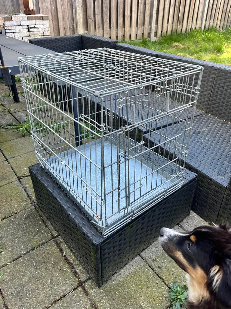 Hondenbench 60x50x55, Dieren en Toebehoren, Ophalen, Zo goed als nieuw