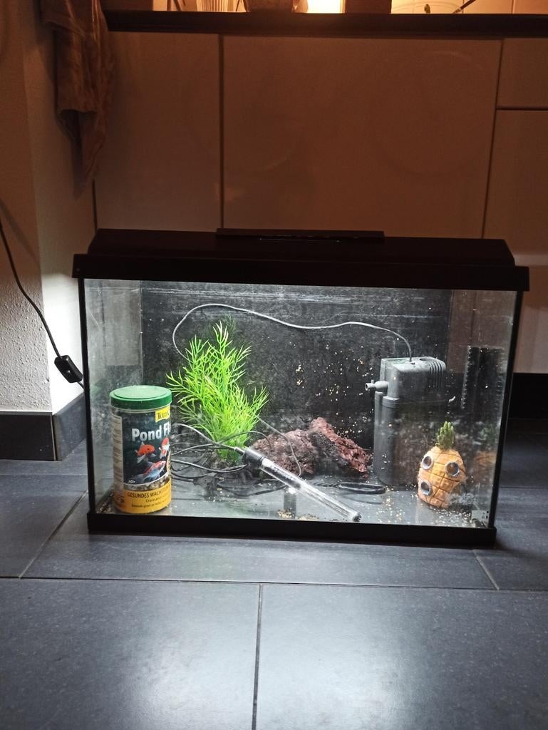 Complete Juwel Primo zwart 60 liter aquarium, Ophalen, Leeg aquarium