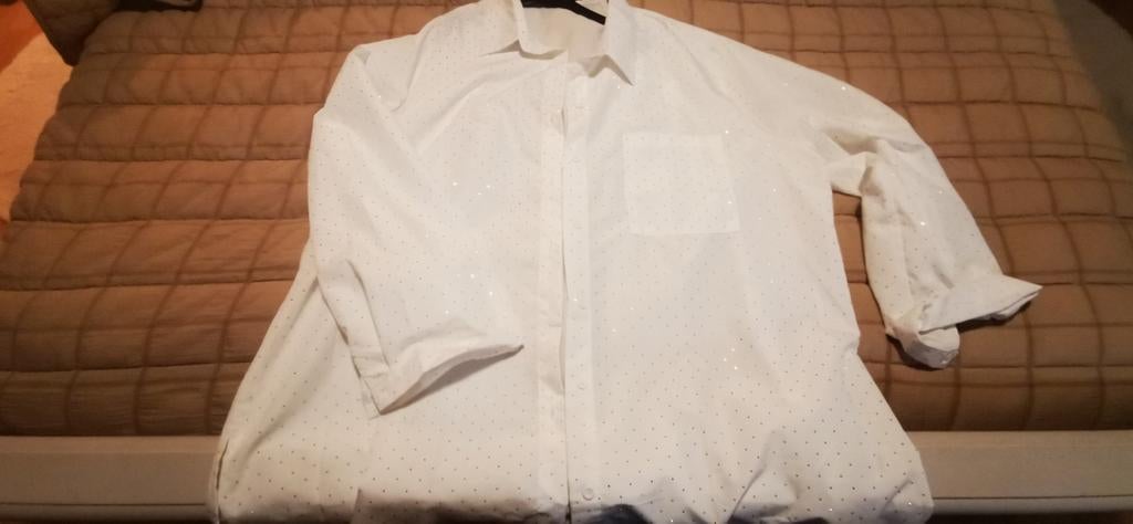 Witte blouse met steentjes 52, Kleding | Dames, Grote Maten, Ophalen of Verzenden, Nieuw, Wit