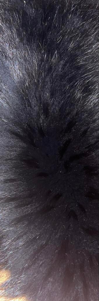 Nieuw Zwart Echte Vossenbont Kraag voor Capuchon, Ophalen of Verzenden, Nieuw, Maat 46/48 (XL) of groter, Zwart