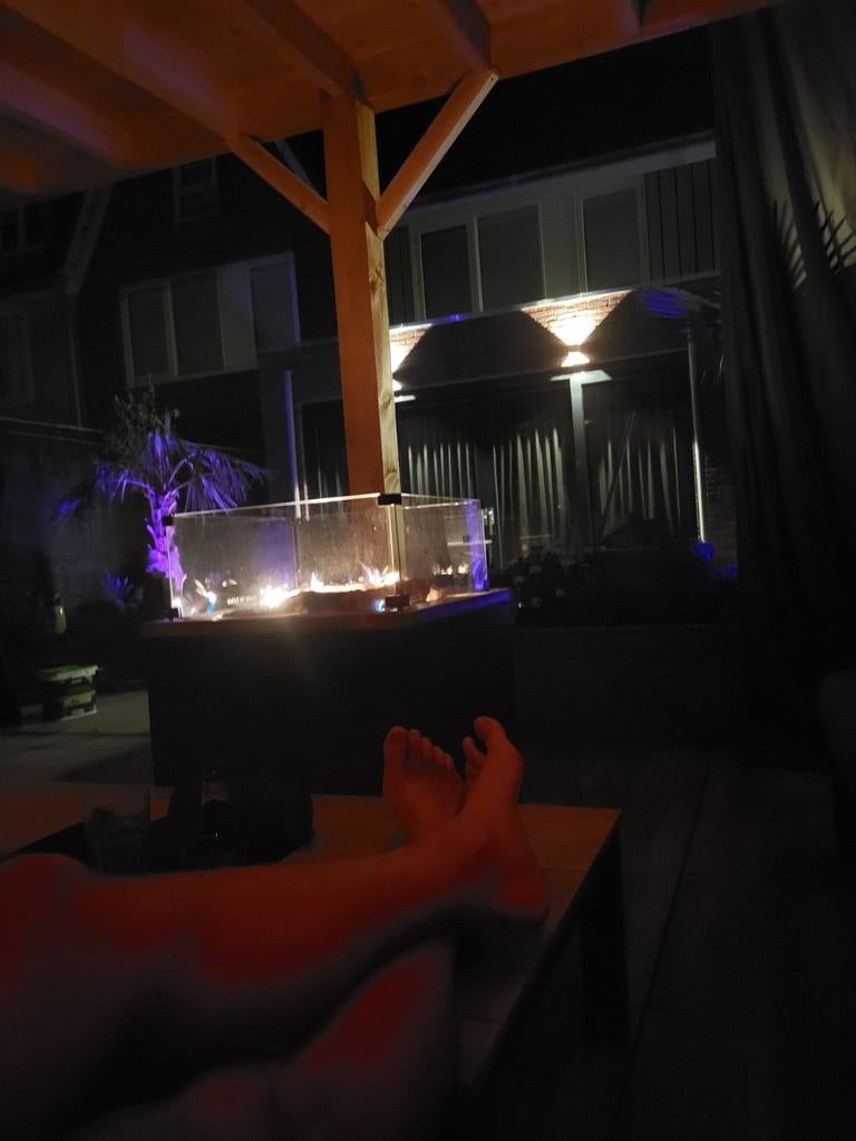 Super mooie gashaard, Tuin en Terras, Buitenverlichting, Ophalen, Wandlamp, Rvs, Netvoeding