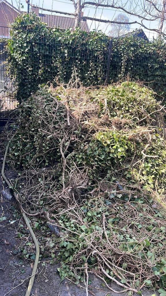 Oud ijzer, Ophalen, 250 mm of meer