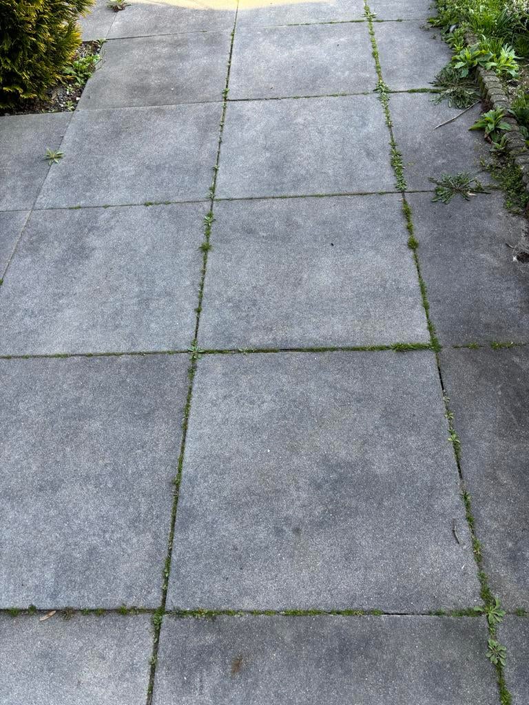 30 terrastegels 60x60x3, Tuin en Terras, Tegels en Klinkers, Ophalen, Gebruikt, 10 m² of meer, Beton