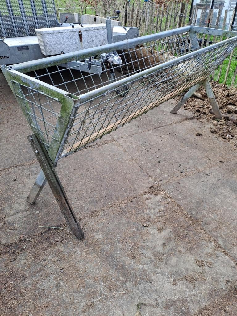 Hooiruif schapen/geiten, Meerdere dieren, Schaap