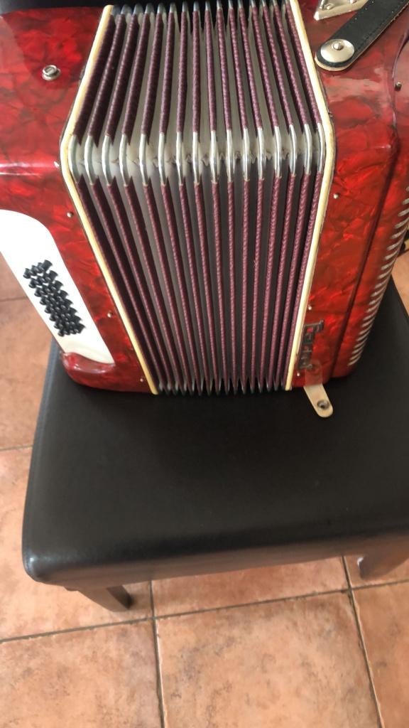 Nette Accordeon Parrot  32 bassen, Muziek en Instrumenten, Accordeons, Gebruikt, Toetsaccordeon, 32-bas, Overige merken, Met koffer