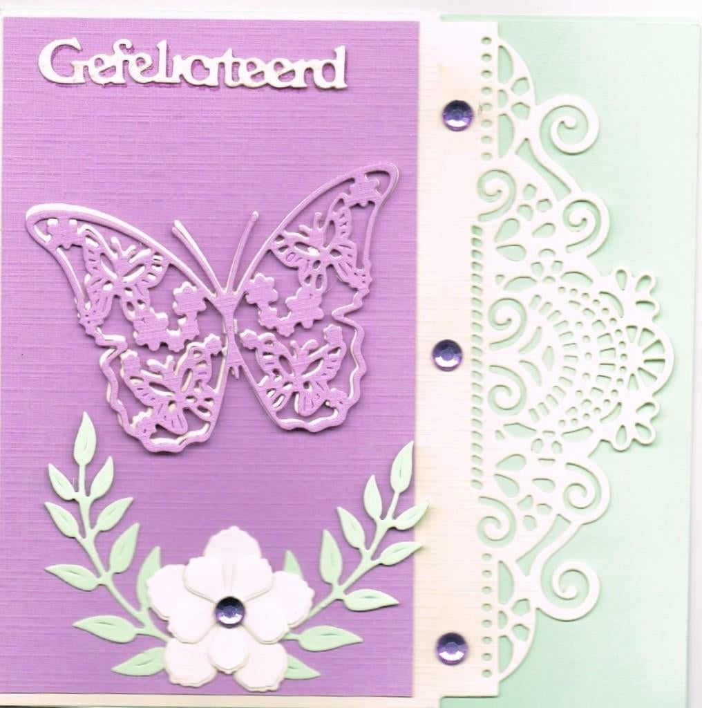 vlinderkaart, Ophalen of Verzenden, Nieuw, Dieren