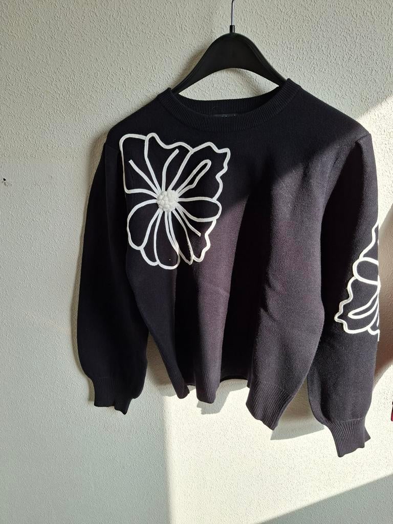 Partij dameskleding: diverse merken, stijlen en maten, Zo goed als nieuw, Ophalen, Maat 38/40 (M), Overige kleuren