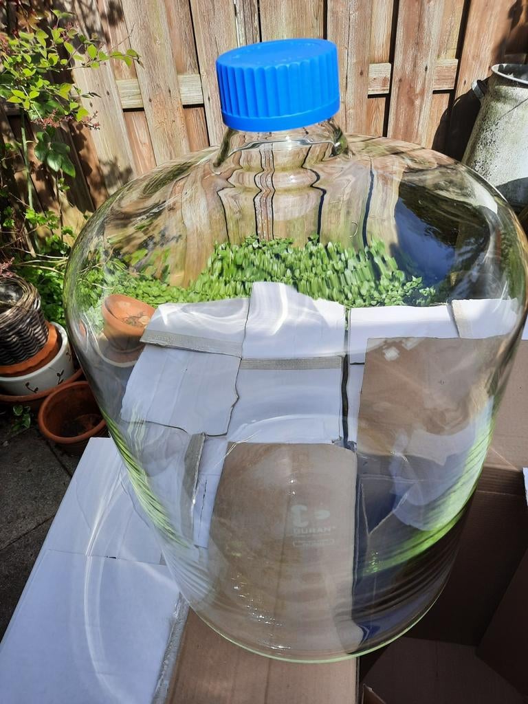 Schott Duran GLS80 draadfles 50 liter, Ophalen