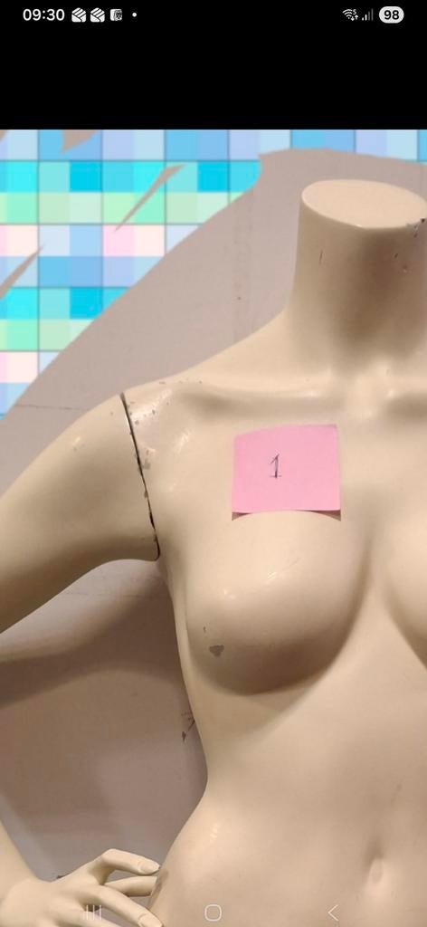 Div etalage poppen, Ophalen, Gedragen