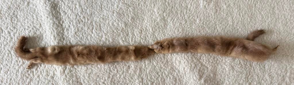 Oude nertsenpelzen” of “vintage bont, Ophalen of Verzenden, Zo goed als nieuw, Sjaal