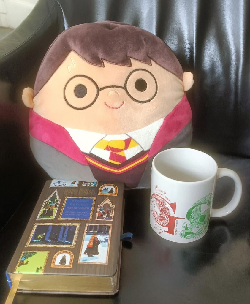 Kussentje driejaars dagboek en beker Harry Potter, Verzamelen, Ophalen of Verzenden, Zo goed als nieuw, Gebruiksvoorwerp
