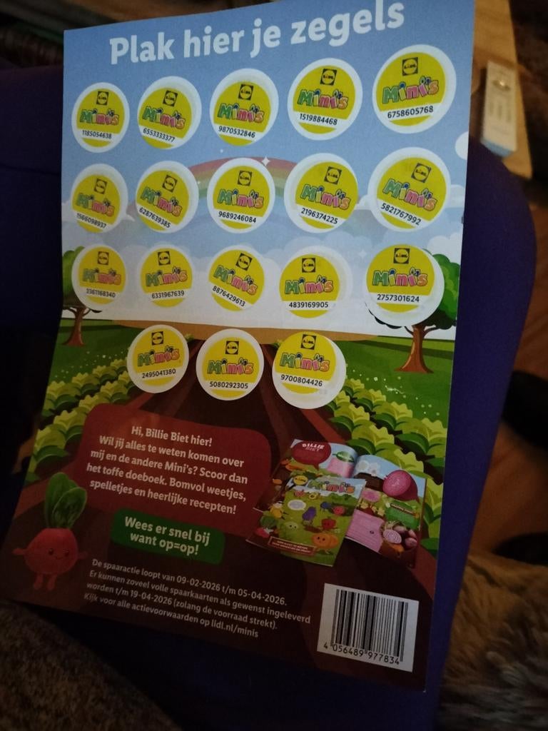 Lidl kaarten, Ophalen of Verzenden, Winkel, Super of Benzinepomp, Zegels, Bonnen of Punten