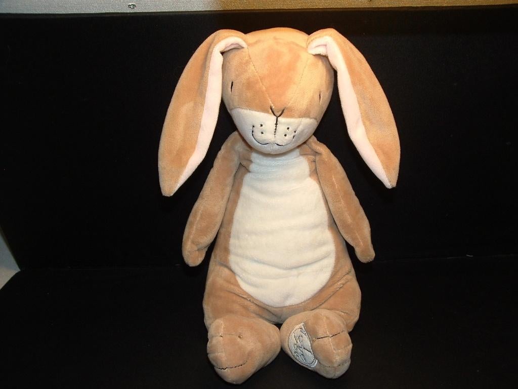 RAINBOW DESIGN HAZELTJE HAAS/KONIJN GROOT, RAAD EENS, Ophalen of Verzenden, Nieuw, Overige typen