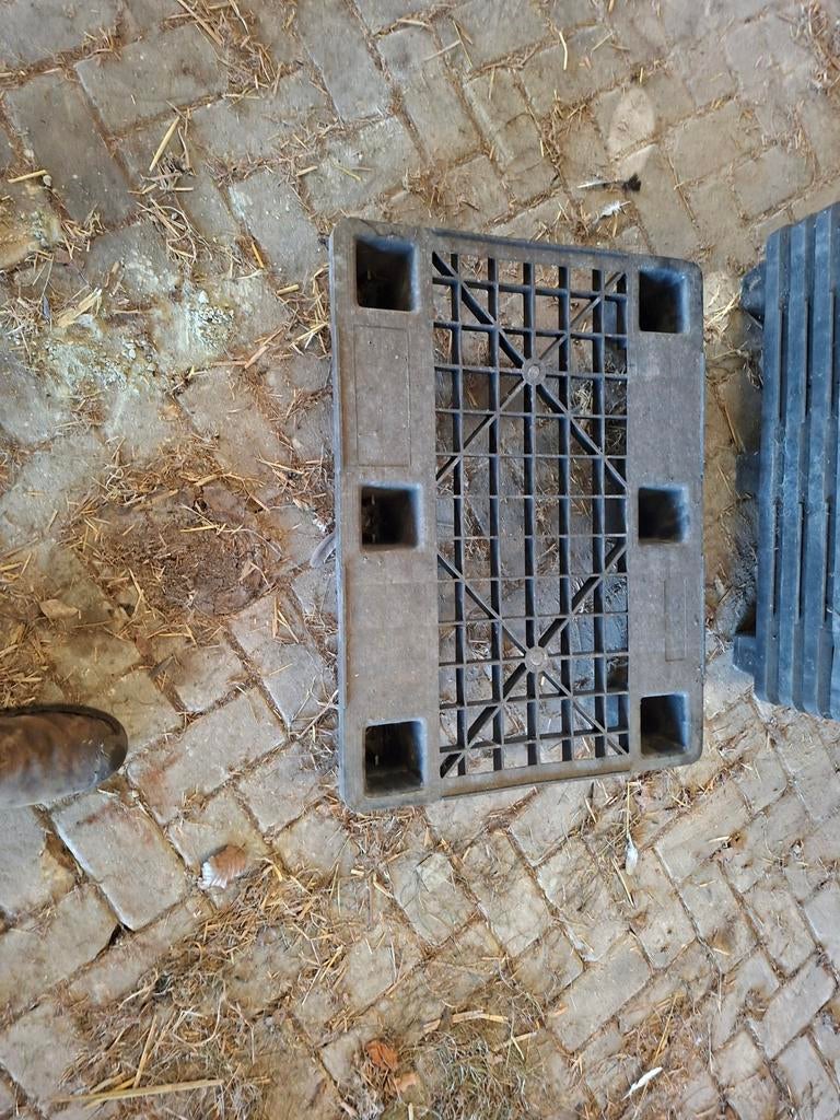 Kunststof pallet voortent, Ophalen of Verzenden