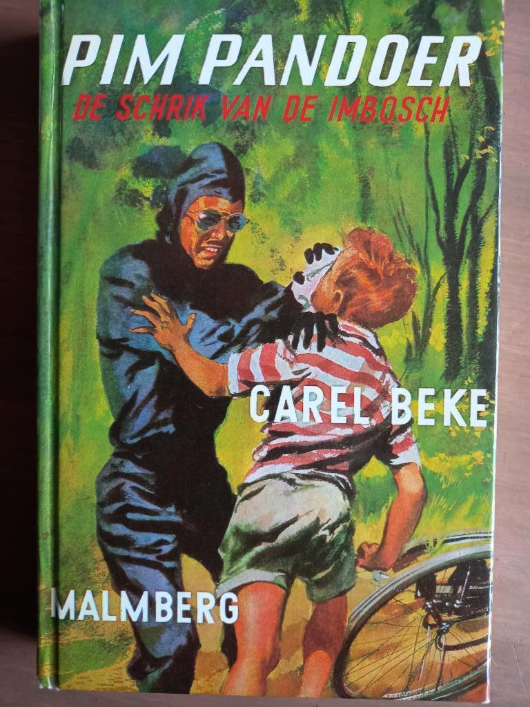 Pim Pandoer deel 1, Boeken, Ophalen of Verzenden, Gelezen, Fictie
