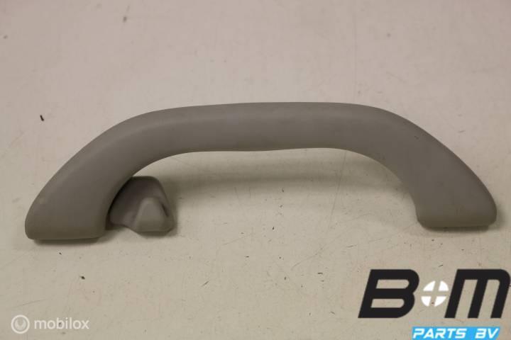 Handgreep in hemel RA (bijrijderskant) VW Passat 3BG, Gebruikt