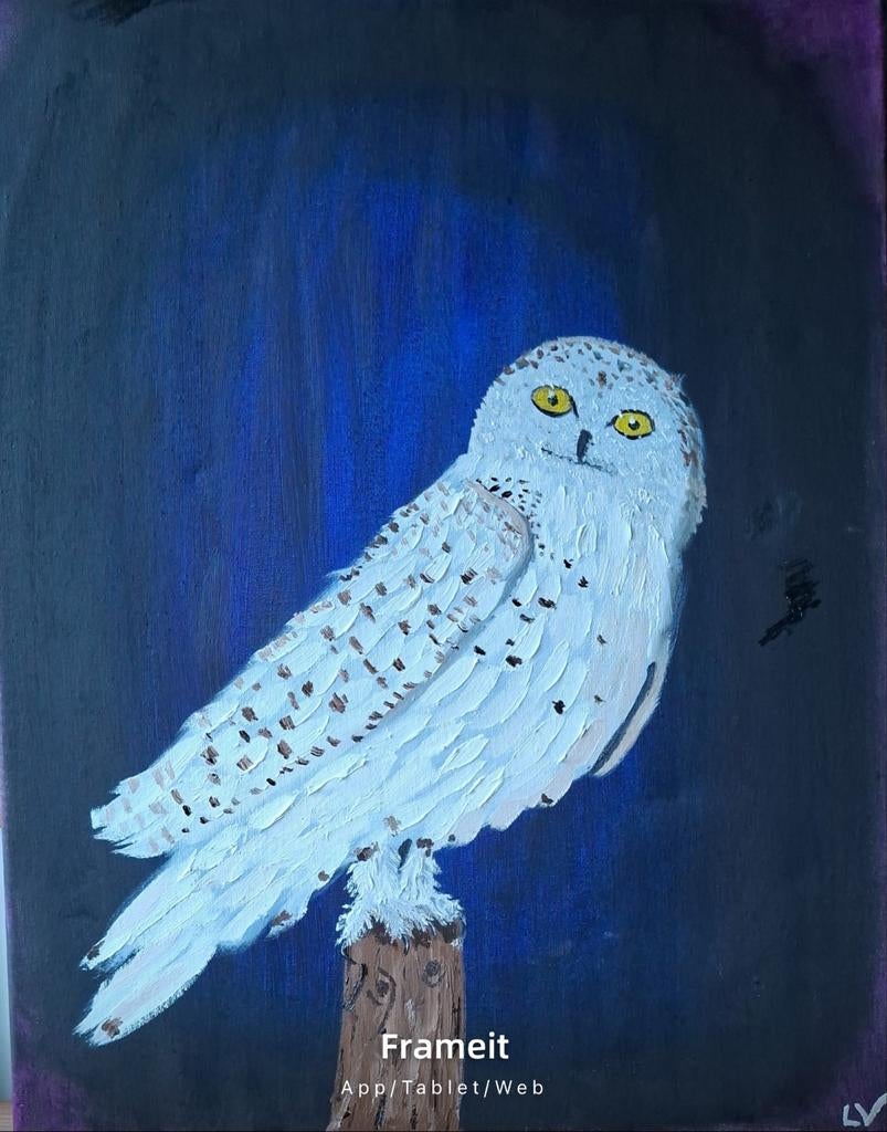 Sneeuwuil op canvas - Olieverfschilderij 40x50 cm, Antiek en Kunst, Ophalen of Verzenden