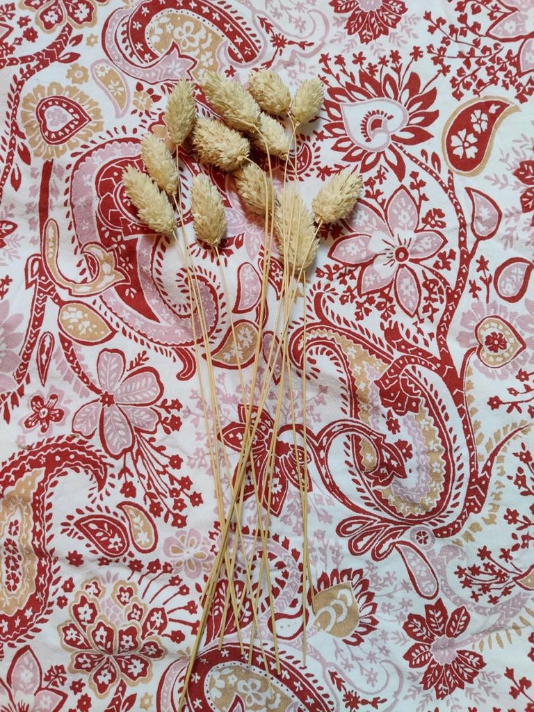 Droogbloemen voor in een klein vaasje, Ophalen of Verzenden, Nieuw