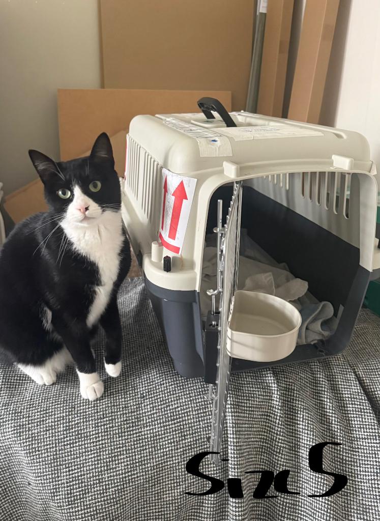 Pet carrier/ transport box, Ophalen, Zo goed als nieuw
