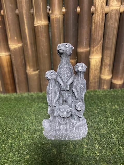 Stokstaartjes familie nr.221