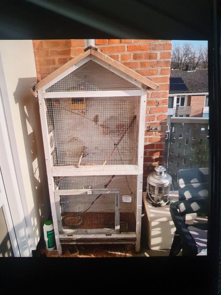 Vogelkooi inclusief vogels (zebravinken), Dieren en Toebehoren, Ophalen of Verzenden, Metaal, Vogelkooi