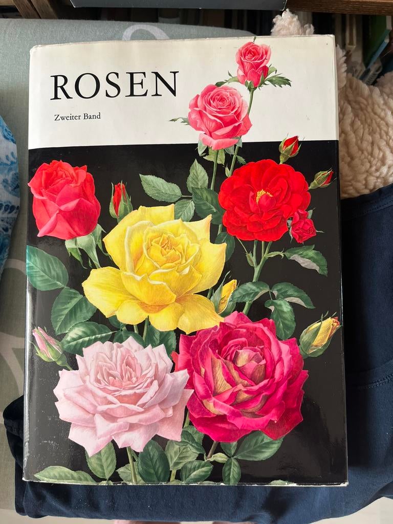 Antieke kunst-encyclopedieën met mooie aquarellen van Rozen, Gelezen, Diverse auteurs, Ophalen of Verzenden, Schilder- en Tekenkunst