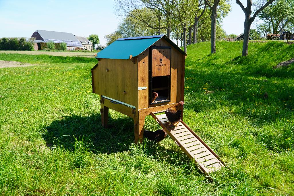 Trespa Kippenhok Cucciolotta Classic L | Op Pootjes, Dieren en Toebehoren, Ophalen of Verzenden, Nieuw, Kippenhok of Kippenren