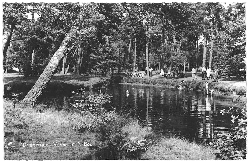 966064 Driebergen 1963 Vijver in t Bos Gelopen met postzegel, Ophalen of Verzenden, 1960 tot 1980, Gelopen, Utrecht