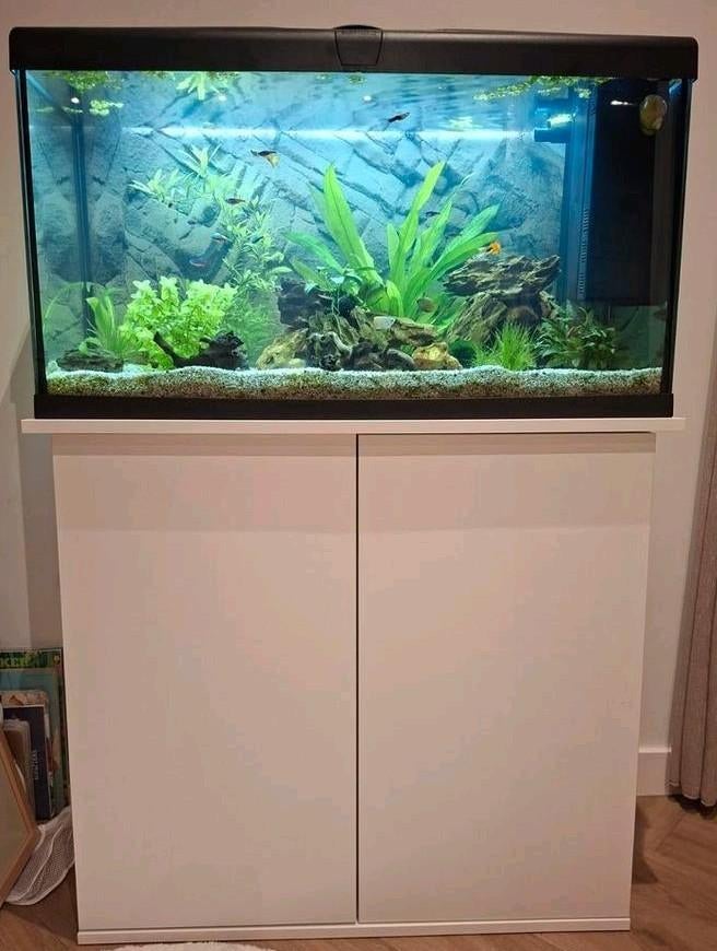 Compleet aquarium 100L incl. onderkast. Nieuwstaat, Dieren en Toebehoren, Vissen | Aquaria en Toebehoren, Ophalen, Nieuw, Gevuld zoetwateraquarium