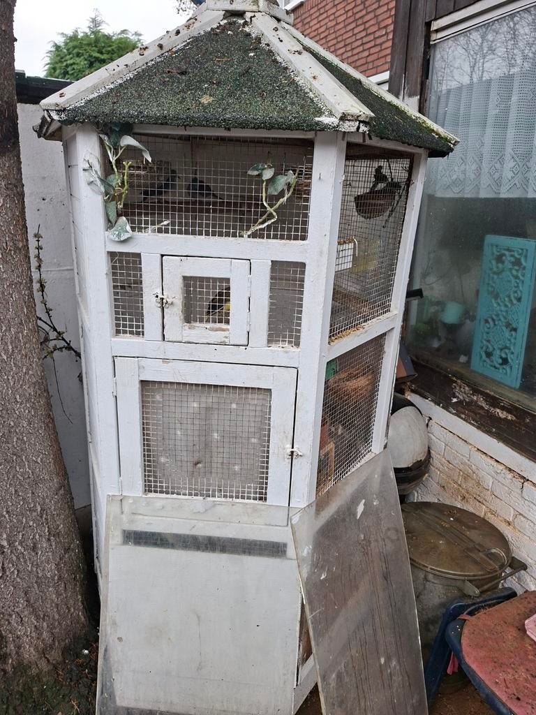 6 kant kooi met 5 kanaries   2 diamand duifjes 1 dwergkwart, Dieren en Toebehoren, Vogels | Hokken en Kooien, Ophalen of Verzenden