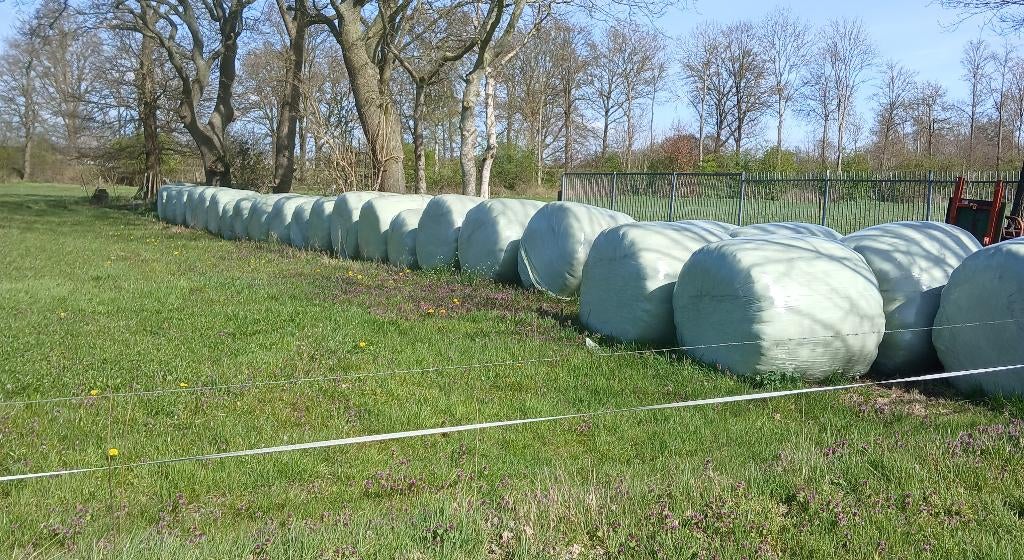 Te koop kuilbalen, Dieren en Toebehoren, Ophalen, Vee