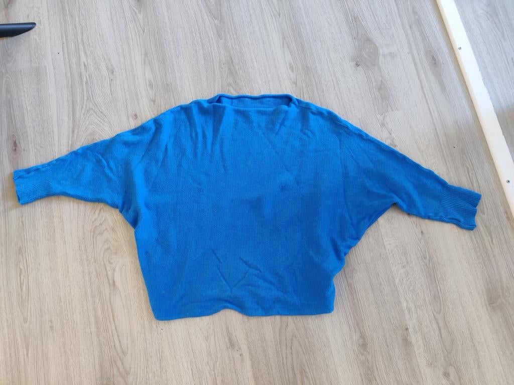 Blauwe trui met wil maat 44, Ophalen of Verzenden, Maat 42/44 (L), Blauw