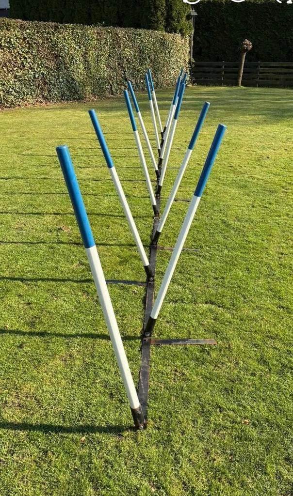 Palenset Agility Hondentraining., Ophalen of Verzenden