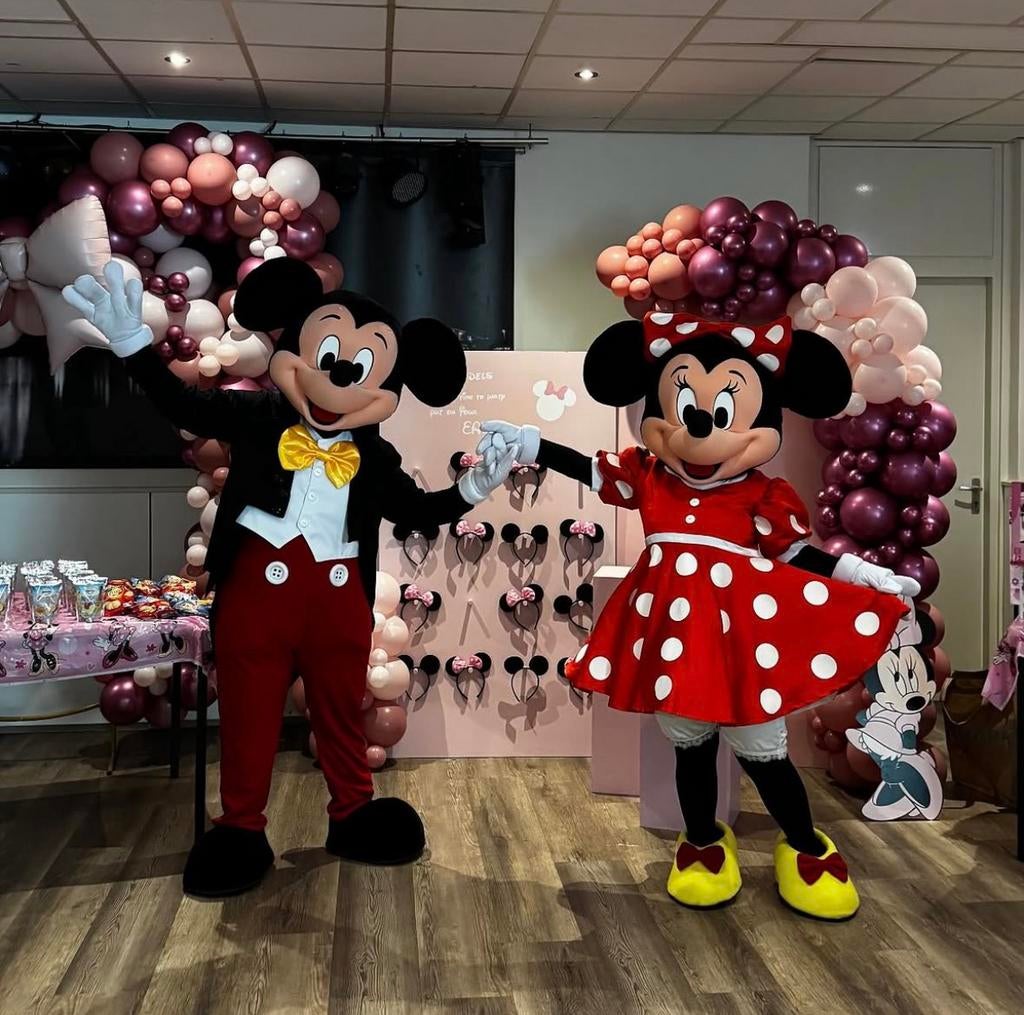 Mickey en Minnie Mouse mascotte te boek ‼️, Ophalen, Zo goed als nieuw, Verjaardag