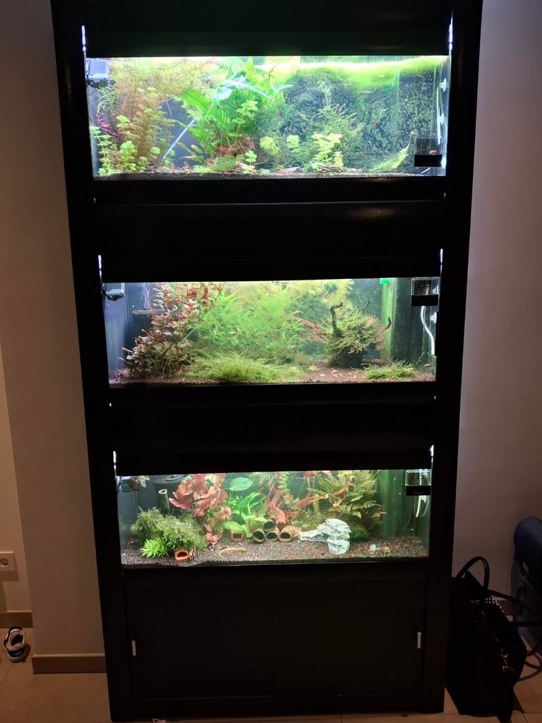 Aquarium stelling 3x 100x40x40, Dieren en Toebehoren, Vissen | Aquaria en Toebehoren, Ophalen, Leeg aquarium