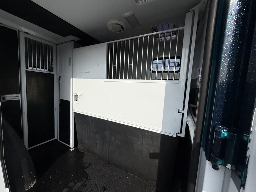 Renault Master | HORSETRUCK | MTM | STALLION 5XL | 2023 | HE, Weduwestraat 12
4884MV  WERNHOUT, NL, Paardenwagentje NL | MVV HORSETRUCKS