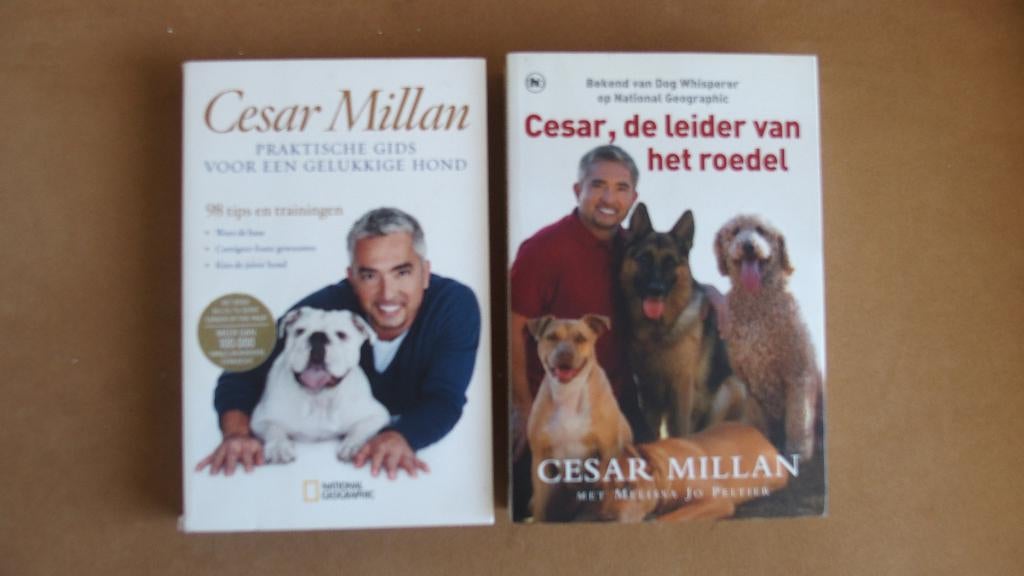 2x Cesar Millan - Hond, Ophalen of Verzenden, Zo goed als nieuw, Honden, Cesar Millan