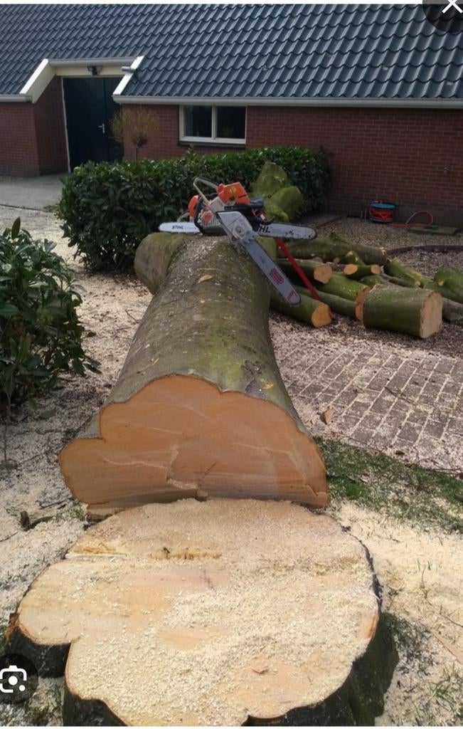 Bomen haardhout gezocht, Tuin en Terras, Haardhout, Ophalen of Verzenden