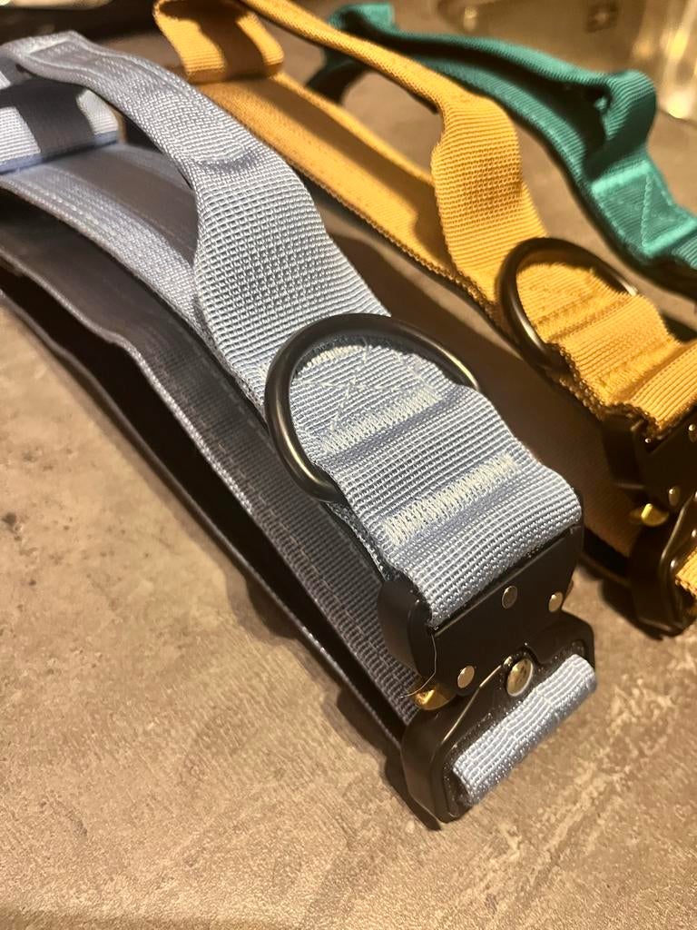 Honden halsband ( hondenriem ), Ophalen of Verzenden, Nieuw