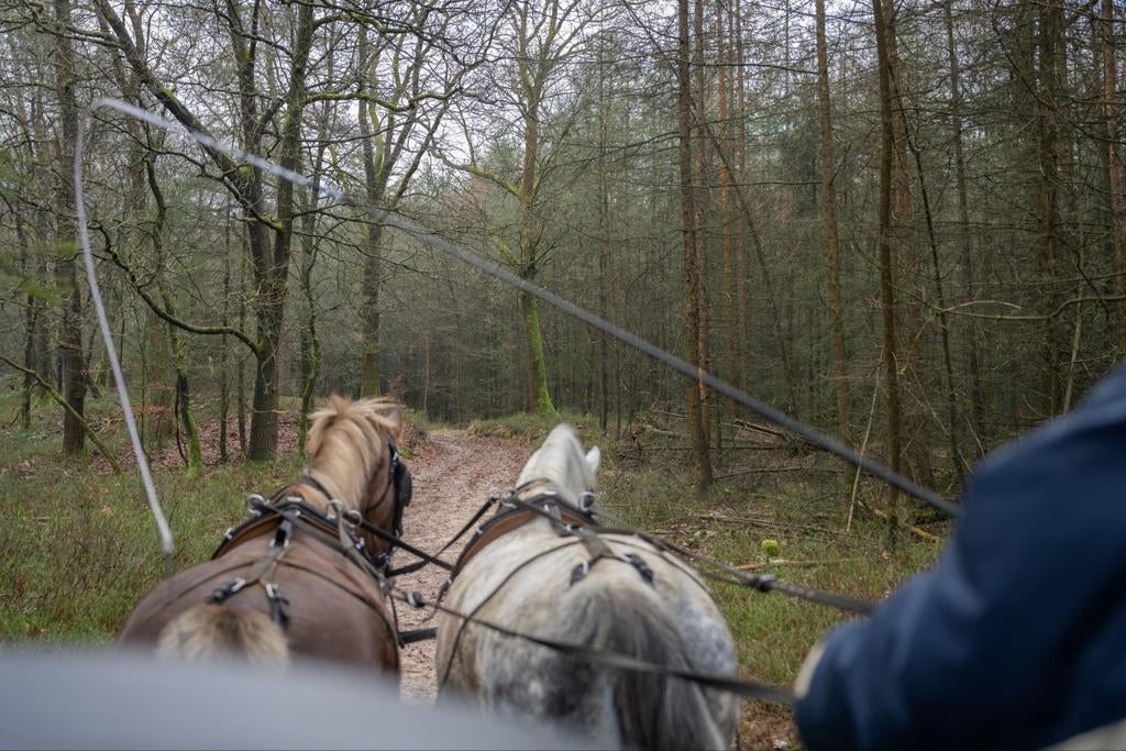 stalhulp gezocht omgeving Apeldoorn