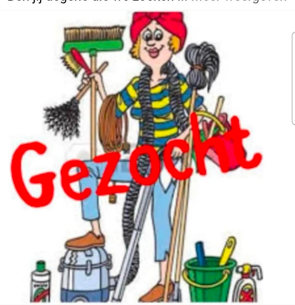 Zzp'ers schoonmaker (s) gezocht voor Juli &Augustus., Overige niveaus, Starter, Overige vormen