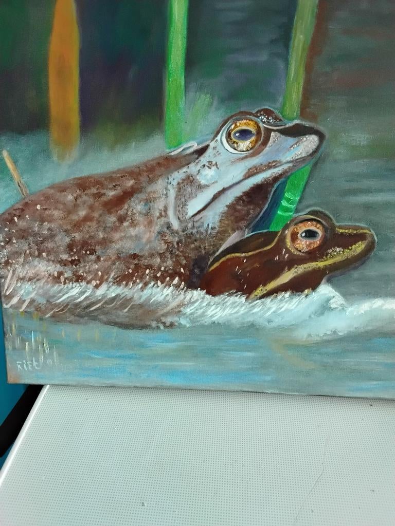 Kikkers Frog - unknown for sale from Riet Damen