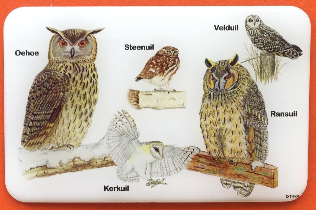 UIL Koelkastmagneet, Meerkleurig, Verzenden, Overige stijlen, Kunststof