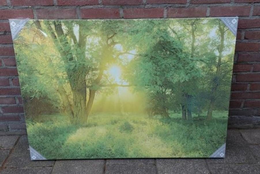 Groot canvas schilderij bos - nieuw in de verpakking!, Ophalen of Verzenden, Nieuw, Schilderij, 75 cm of meer