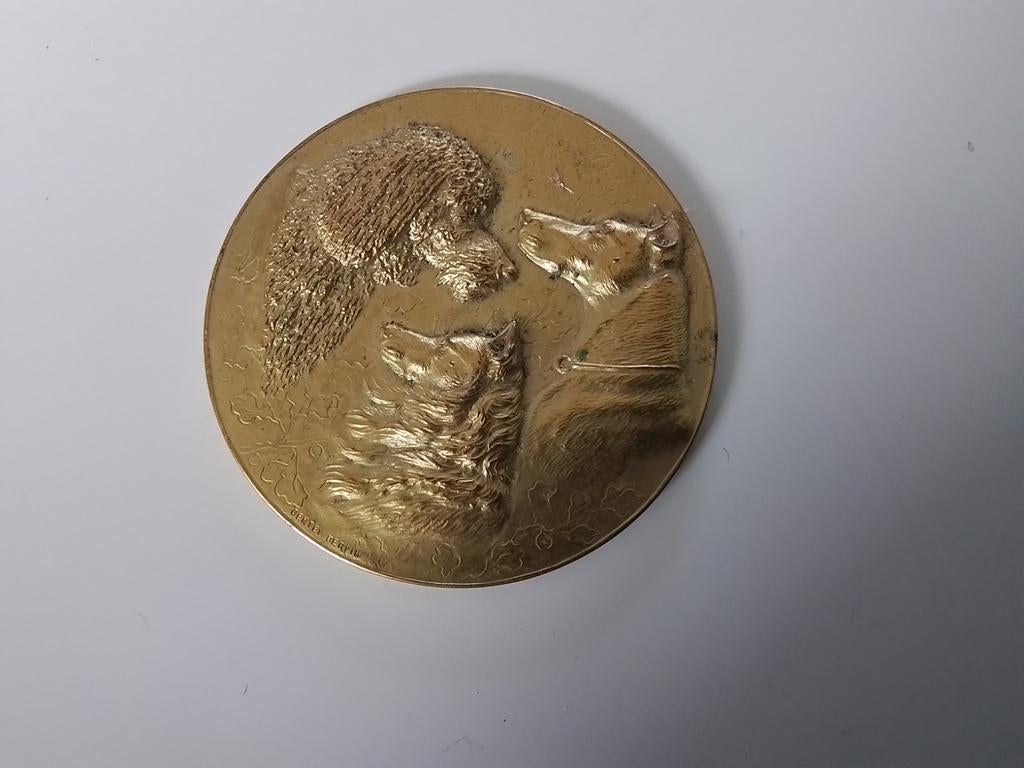 Historische penning 1923, Postzegels en Munten, Penningen en Medailles, Ophalen of Verzenden, Brons, Nederland