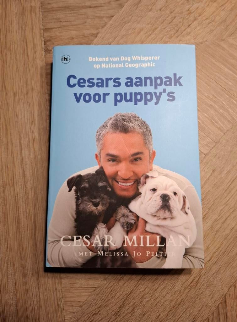 Cesars aanpak voor puppy's paperback, Ophalen of Verzenden, Zo goed als nieuw, Honden